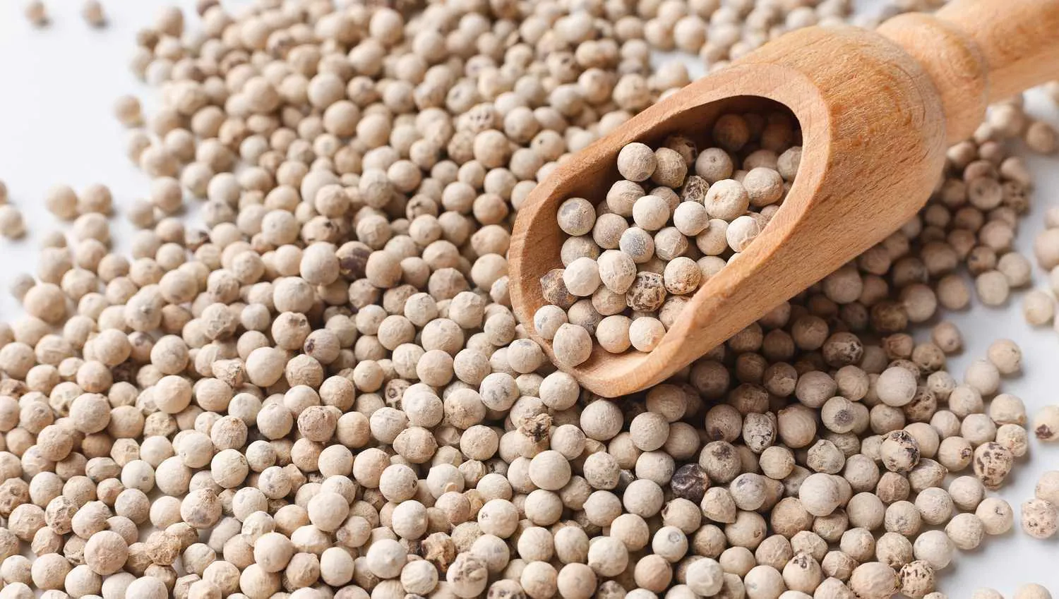 White Pepper - Global Agro Wholesale